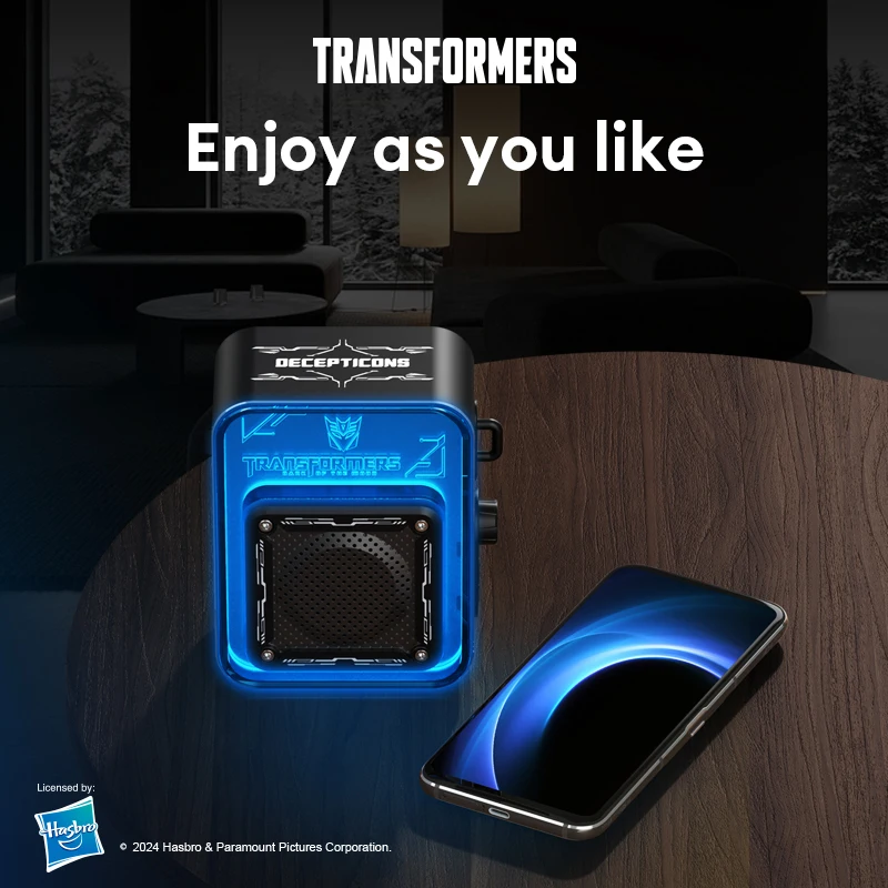 Outdoor Lighting Transformer Box - ชอยส์ ทรานส์ฟอร์มเมอร์ส TF-Y02 ไฟ LED สเตอริโอ